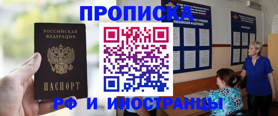 где прописаться в Ельне